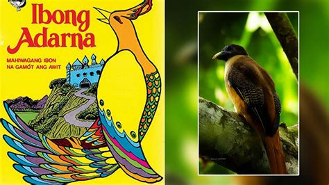  Ang Ibong Adarna: Bay Cánh Ước Mơ Và Bí Ẩn Vượt Qua Thời Gian!